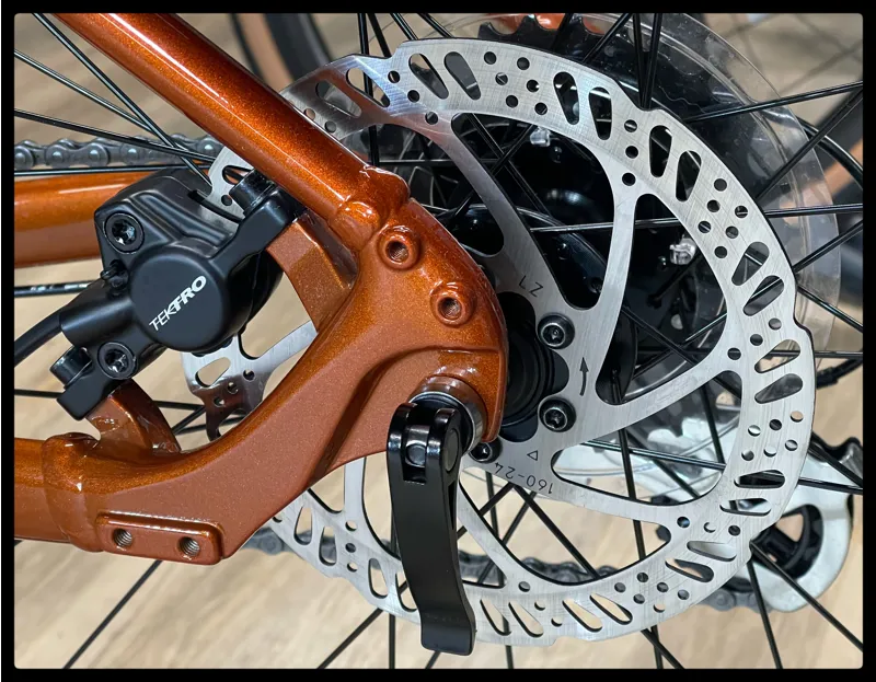 Giant Talon 29 3 Medium Amber Glow 2022-8